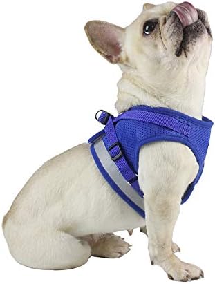 Comfort Step-in Cat Dog Harness and Leash Set for Puppies Cats Kitty Escape Proof Pet Vest Harnesses for Small Animals Rabbit/Mouse/Cats (M:3-4.5KG, Blue)