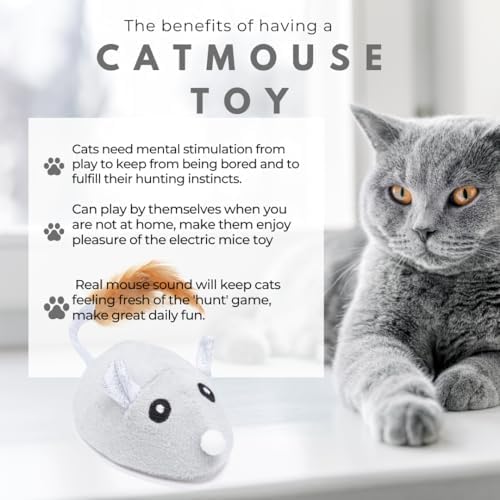 Interactive Version2 Automatic Cats Plush Toys Play for Indoor Boredom Alone. Electric Moving Mouse Cat Toys with Real Feather Tail, Less Noise USB Rechargeable. (Grey)