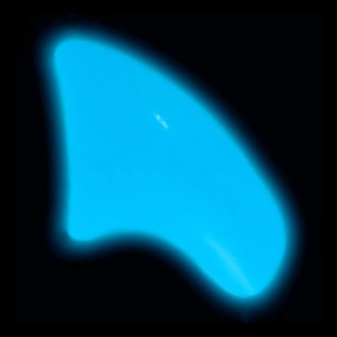 40 Pack Soft Nail Caps for Cat Claws Blue Glow in The Dark Medium