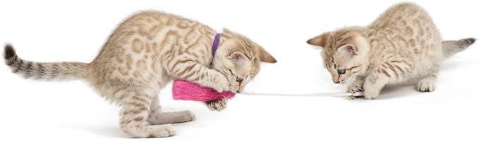 RompiCatz Teaser Wands and Interactive Cat Toy, Plush Tip, Pink, 3 Pack