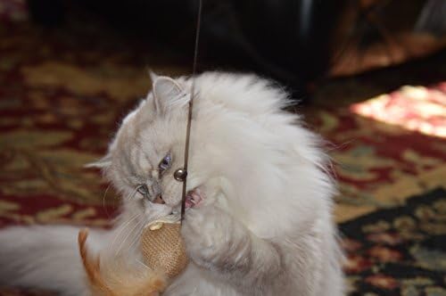 Cat Teaser Wand Toys - Plus 2 Wool Felt Ball Toys, Sisal Mice with Bell, Feather, Elastic String, Sturdy Wood Stick, Interactive Fun, Cat Kitten Catcher Mouse Cat Toy