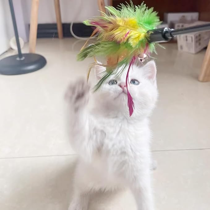 IUHKBH Cat Feather Wands, 6 PCS Interactive Cat Teaser Wand Colorful Feather Cat Wand with Bell for Cats, Kitties