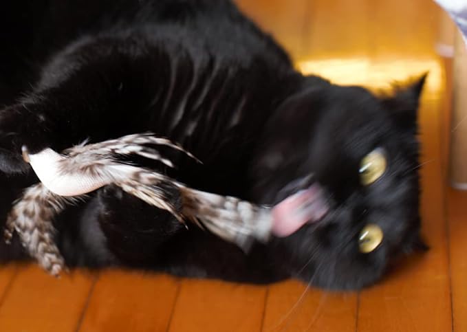 Minibees Cat Toy Feather Teaser, Changeable Toys(3pcs), Exerciser Wand Stick for Pet Cat and Kitten with Bell, Interact, Training,Changeable