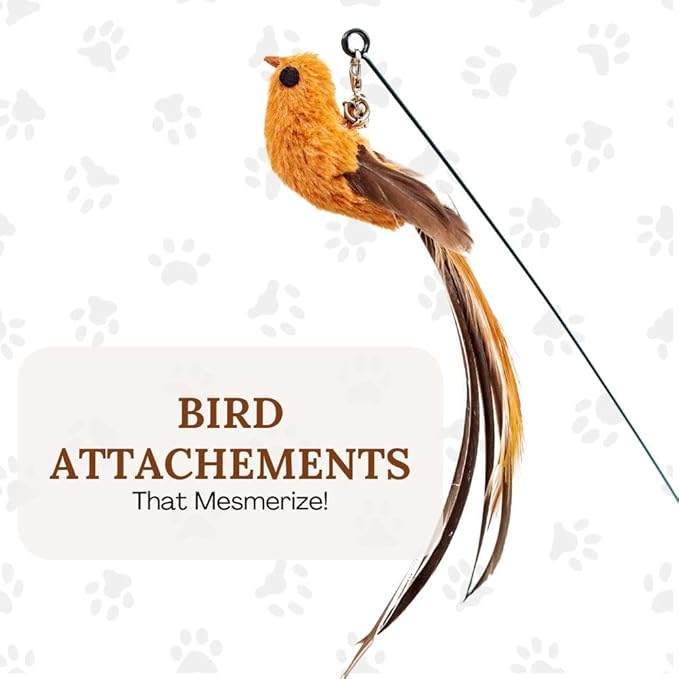 Cat Wand Toy Cat Toys for Bored Indoor Adult Cats Feather Cat Toy Wand 5 Pcs Natural Bird Feathers Stable Round Base Wand Cat Toys for Indoor Cats Hunting Toys for Cats