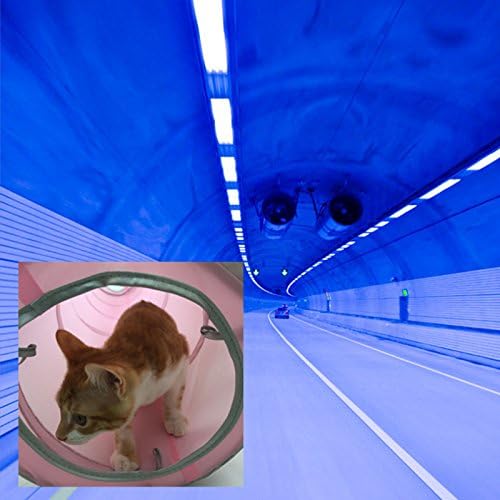 2 Way Cat Tunnel Pet Play Tube - Collapsible Tunnel for Small Pet/Cat/Kitty/Doggy/Rabbit (Pink)