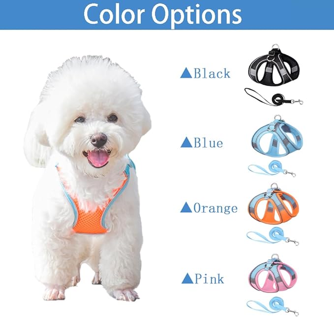 Cat and Small-Medium Dog Harness, No-Pull Pet Vest with Leash for Walking, Puppy Harness Set, Step-in Dog Harness for Small Breeds, Adjustable Mesh Harness