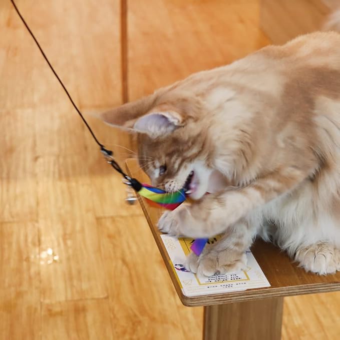 LASOCUHOO Cat Wand Toys Refills, Cat Wand Replacement, Assorted Teaser Refills with Bell for Most Cats, Kittens