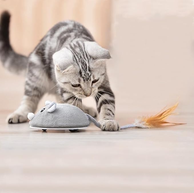 Interactive Cat Toy Mouse, Moving Mouse Automatic Cat Toys Electronic Mice, Rechargeable Squeaky Cat Mouse Toys for Kitten Indoor/Outdoor Exercise（Short Velvet）