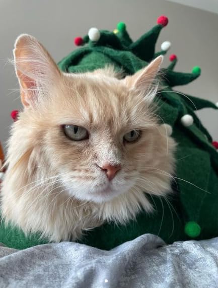 Midlee Christmas Tree Wool Cat Cave Bed