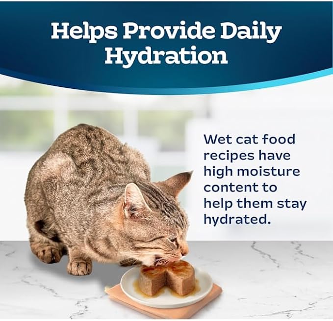 Blue Buffalo Blue Tastefuls Salmon Entree Pate Wet Cat Food, 3 Ounce (Pack of 1)