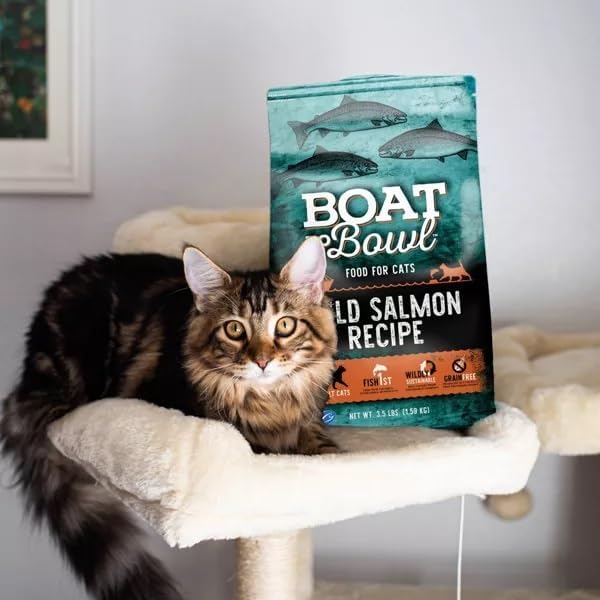 Wild Salmon Fish Recipe Adult Dry Cat Food | Made with MSC-Certified Sustainable Salmon | Rich Source of Omega-3s | 3.5 Lb Bag