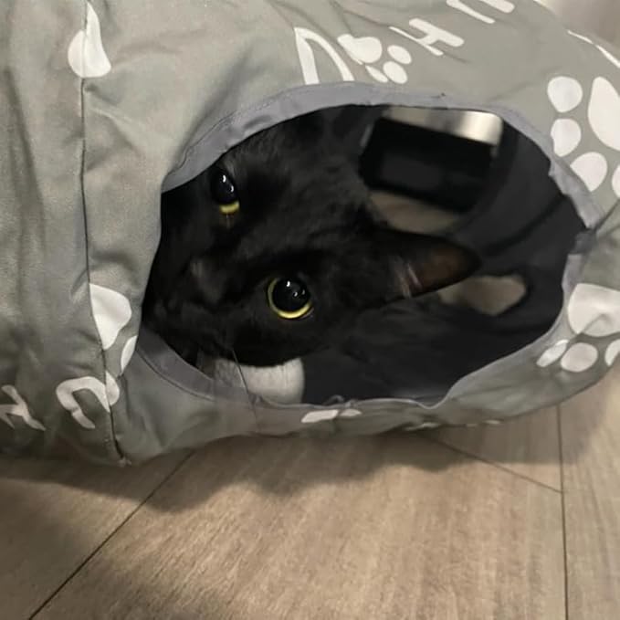 Cat Tunnel Bed, Cat Tunnels for Indoor Cats, Cat Donut Tunnel with Mat, Straight Tunnel, 4 Hanging Balls and Blackout Tent, Collapsible Peekaboo Cat Cave