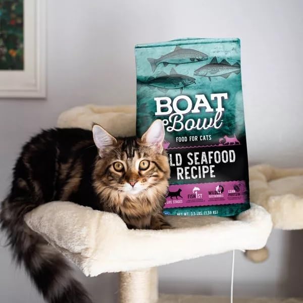 Wild Seafood Fish Recipe Adult Dry Cat Food | Made with MSC-Certified Sustainable Salmon | Rich Source of Omega-3s | 3.5 Lb Bag