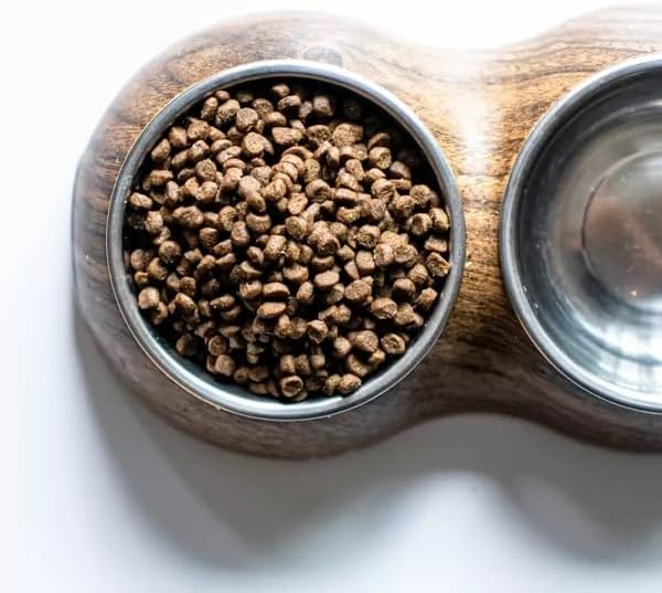 Wild Seafood Fish Recipe Adult Dry Cat Food | Made with MSC-Certified Sustainable Salmon | Rich Source of Omega-3s | 3.5 Lb Bag