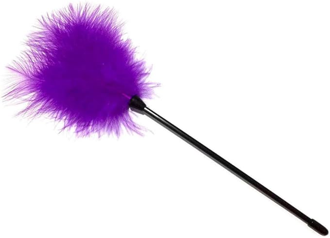 Dzrige Interactive Cat Toys Teaser Wand Black Long Sticks with Purple Soft Plush Tips Funny Pet Feather Supplies for Indoor Bored Cat and Kitten Play Training Interactive Toys