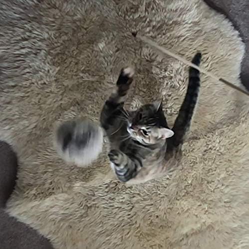 Natural Fur Pom Cat Wood Rod Teaser & Exerciser Wand for Cat & Kitten with Fluffy Fur Ball- Interactive Soft and Safe Feather-Like Real Fur Toy - Mouse Like Pelt Pom Assembled in The US