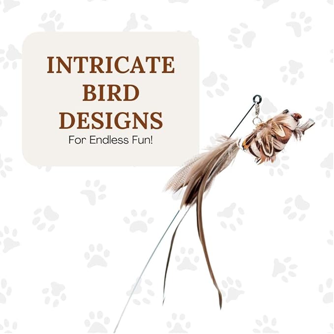 Cat Wand Toy Cat Toys for Bored Indoor Adult Cats Feather Cat Toy Wand 5 Pcs Natural Bird Feathers Stable Round Base Wand Cat Toys for Indoor Cats Hunting Toys for Cats