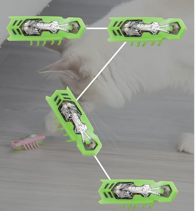 Cat Toys Teaser Interactive，Mini Electronic Robot Beetle Funny cat Toy, Cat Bug Educational Toy for Indoor Cats Kitten Play Chase Exercise，2pcs (Beetle+Mouse)