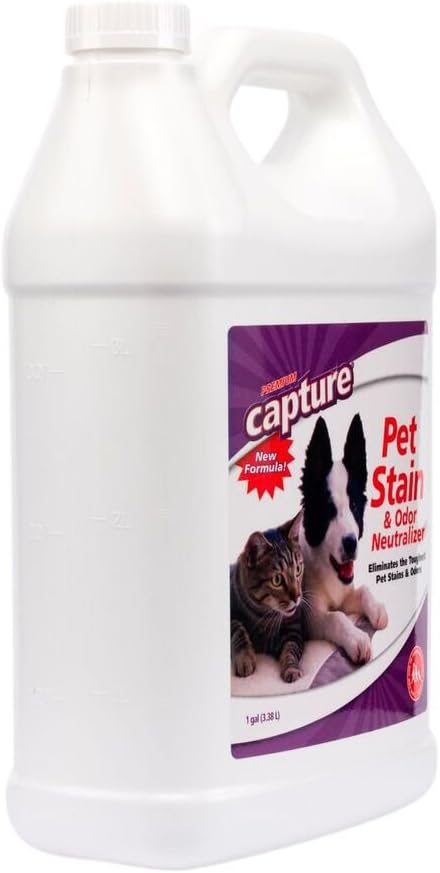 Capture Pet Stain & Odor Remover - Enzyme Pet Odor Eliminator for Home, Carpet Stain Remover for Cats & Dog Pee, Cat Urine Destroyer, Carpet Cleaner Spray - 1 Gallon Bottle