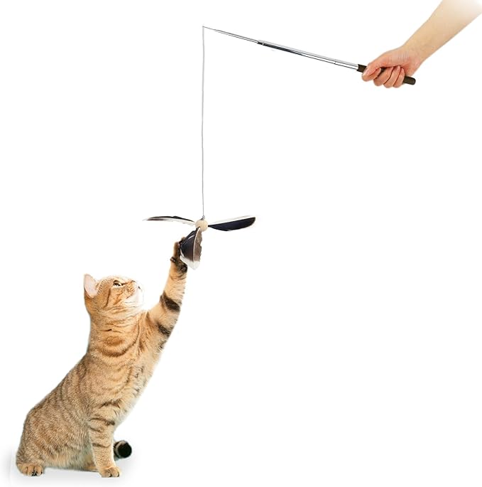 ALL FOR PAWS Cat Real Feather Toy Kitten Cat Wand Toy Kitten Teaser Toys Telescopic Wand Kitty Cat Enrichment Toy for Indoor Cats