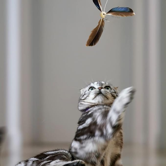 JIANWEI 6PCS Cat Feather Propeller Refills, Cat Fetch Toy Cat Wand Attachment Home Replacement Artificial Feather Cat Playing Tracking Interactive Toys for Kitten Chasing Training(Brown)