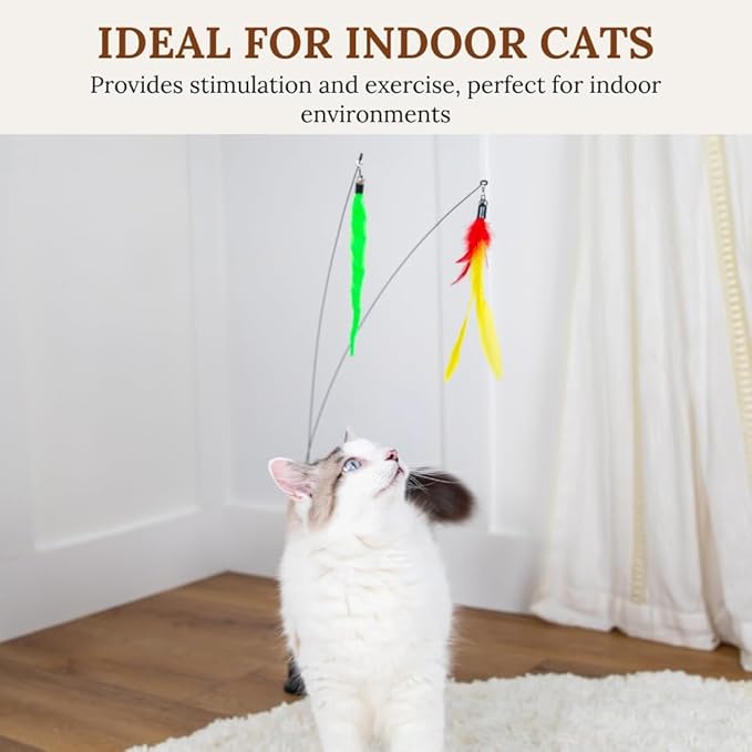 Interactive Cat Toy Feather Suction Cup Cat Toy Cats Toys Lizard Catnip Toys Cat Chew Toys Catnip Toy Cats Toys for Indoor Cats Cat Toys for Bored Indoor Adult Cats Self Play Cat Toys Cat Teaser