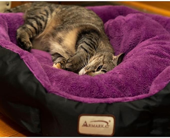 Armarkat Large, Soft Cat Bed - C101NH/ZH, Mulberry/Black (C101HNH/ZH)