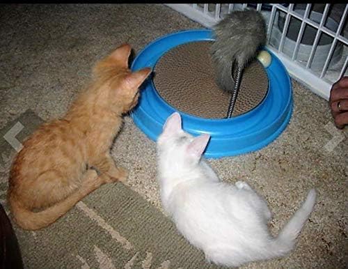 AUOON Cat Scratcher Toy, Cat Toy, Scratch pad,Scratching Toy,Post Pad Interactive Training Exercise Mouse Play Toy with Ball for Cat Kitty Puppy