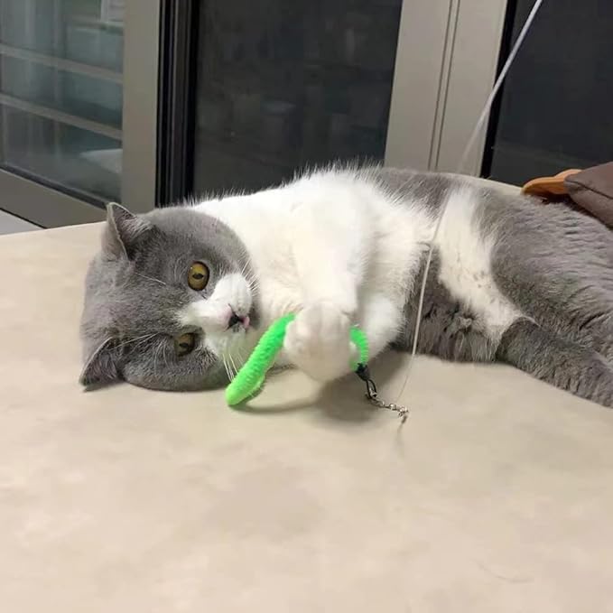 Worm Teaser Refills for Cat Wand 10PCS Squiggly Worms Replacements and 1PC Replacement String for Cat Fishing Kittens Wand Refills Attachments for Kitten Training Exerciser Accessories