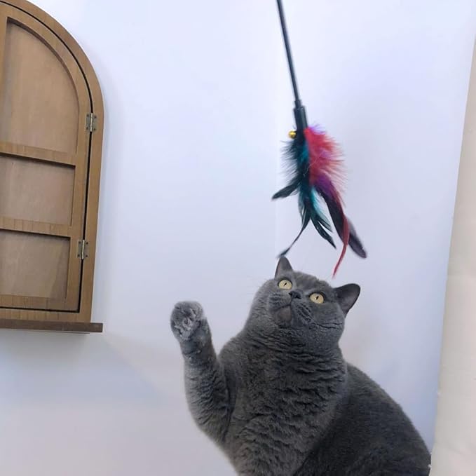 IUHKBH Cat Wands, 6 PCS Interactive Cat Feather Toys Cat Teaser with Bell - 18'' Long Feather Wand for Cat and Kitten