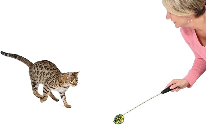 RompiCatz Adjustable Retractable String Wand and Interactive Cat Toy, Crinkle Balls