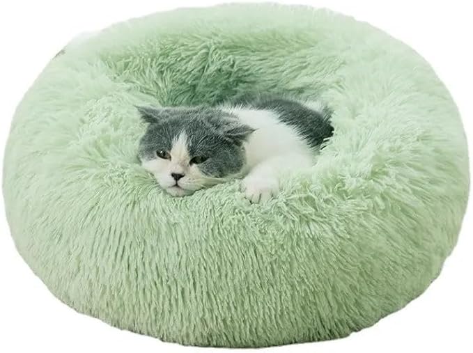 Cat Beds for Indoor Cats - Cat Bed Washable 20/24 inches, Dog Beds for Small Medium Dogs, Anti Anxiety Round Fluffy Plush Faux Fur Cat Bed, Thick Bottom (Green, Medium)