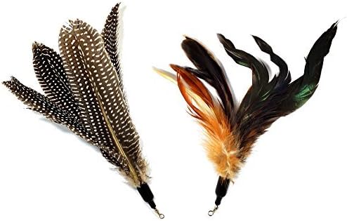 Pet Fit For Life 2 Feather Teaser and Exerciser for Cat and Kitten - Cat Toy Interactive Cat Wand