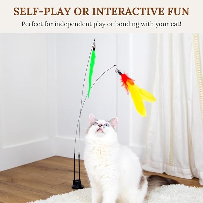 Cat Toys Pack Kitty Toys For Indoor Cats Kitten Toys For Indoor Cats Self Play Snake Catnip Chew Toy Home Alone Cat Toys Cat Toys For Bored Indoor Cat Interactive Cat Toys For Bored Indoor Adult Cats