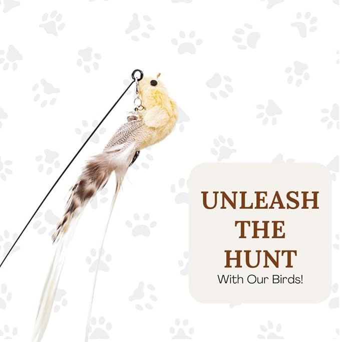 Cat Wand Toy Cat Toys for Bored Indoor Adult Cats Feather Cat Toy Wand 5 Pcs Natural Bird Feathers Stable Round Base Wand Cat Toys for Indoor Cats Hunting Toys for Cats