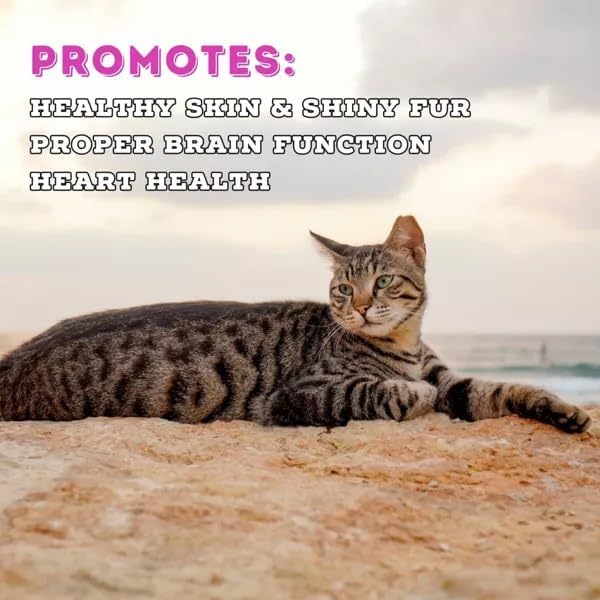 Wild Seafood Fish Recipe Adult Dry Cat Food | Made with MSC-Certified Sustainable Salmon | Rich Source of Omega-3s | 3.5 Lb Bag