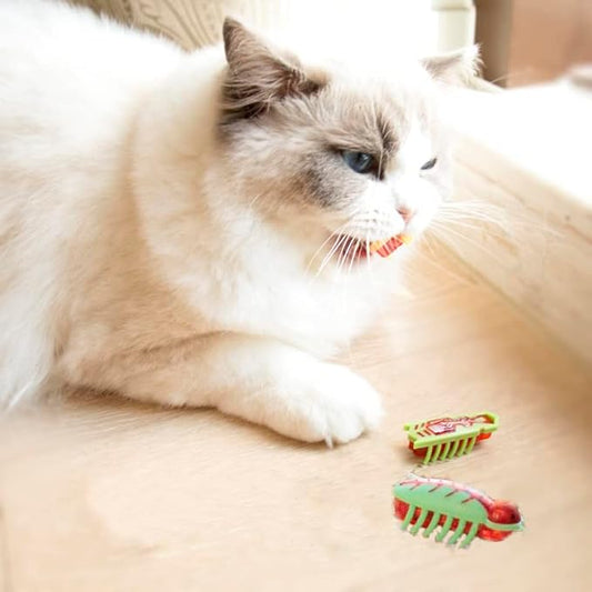 Cat Toys Teaser Interactive，Mini Electronic Robot Beetle Funny cat Toy, Cat Bug Educational Toy for Indoor Cats Kitten Play Chase Exercise，2pcs (Beetle+Mouse)