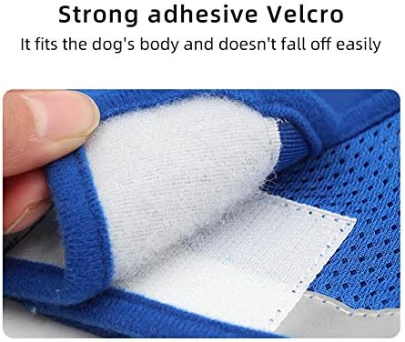 Comfort Step-in Cat Dog Harness and Leash Set for Puppies Cats Kitty Escape Proof Pet Vest Harnesses for Small Animals Rabbit/Mouse/Cats (M:3-4.5KG, Blue)