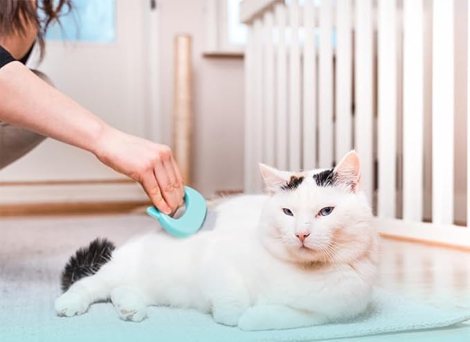 AKOAK 1 Pack Cat Massage Comb, Pet Hair Removal Massage Shell Brush, Soft Hair Removal Brush Comb and Shed Fur Remover Hair Removal Tool for Long and Short Hair Cats Dogs Puppies Rabbits