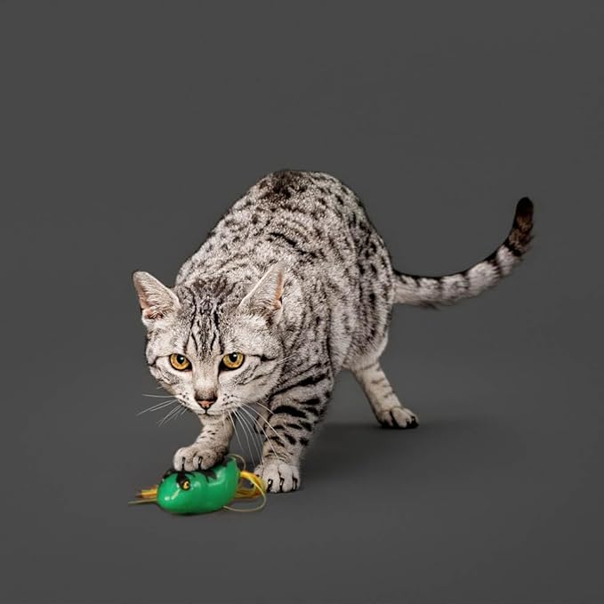 Playology Dangly Leg Frog Toy for Cats | All-Natural Scent and Silicone Strings for Engaging Play | Catnip Infused for Endless Fun!