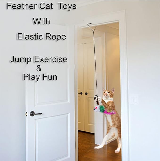 Interactive Cat Toys,Hanging Cat Toy Kits 10Pcs Cat Feather Toys Hanging Door Retractable Ropes,Upgraded Mouse Toys Set Kitten Play Teaser for Cat Jump Exercise (10Pcs)