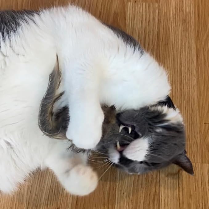 Ethical SPOT Shaggy Plush Giant Mouse - Cat Toy, Fuzzy Mice with Catnip and Rattle Toy for Indoor Cats and Kittens, Perfect Size for Pouncing on, Chasing, Hunting - 8.5in, 1 Piece