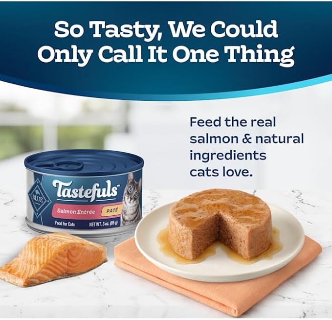 Blue Buffalo Blue Tastefuls Salmon Entree Pate Wet Cat Food, 3 Ounce (Pack of 1)