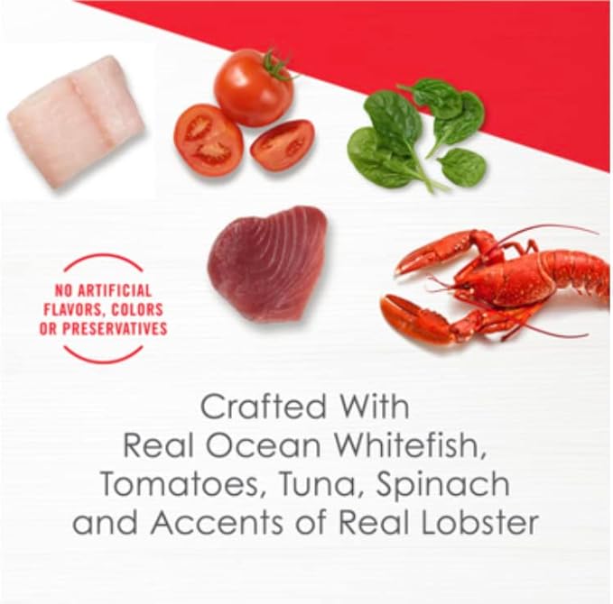 Broths for Cats Variety Pack with Marv & Milo's Bonito Fish Flakes Topper & Cat Nip Mouse, 12-1.4oz Pouches Total