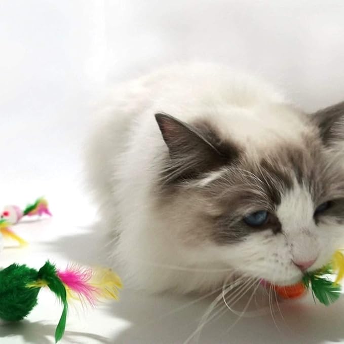 Cat Mice Toys for Indoor Cats 12PCS, 5 Color Variety Mouse Cat Toy Mice Cat Toy Mouse for Cats, Fur Mice Cat Toys Mice Cat Feather Toys with Rattle Sounds, Mixed Pack Cat Mouse Toy for Cats