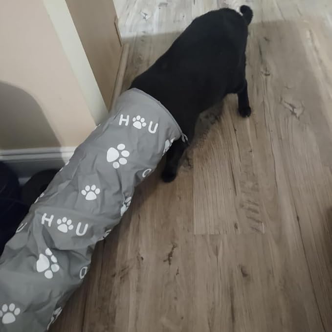 Cat Tunnel Bed, Cat Tunnels for Indoor Cats, Cat Donut Tunnel with Mat, Straight Tunnel, 4 Hanging Balls and Blackout Tent, Collapsible Peekaboo Cat Cave