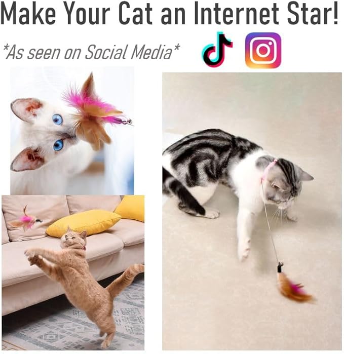 KOTYA Cat Collar Toy, New Premium Teasing Wand with Colorful Natural Feathers and Bell, Lightweight Silicone for Extra Comfort, Interactive Self Playing Toys for Indoor Kittens (Sky Blue)