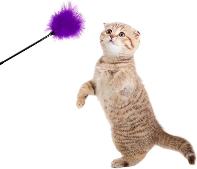 Dzrige Interactive Cat Toys Teaser Wand Black Long Sticks with Purple Soft Plush Tips Funny Pet Feather Supplies for Indoor Bored Cat and Kitten Play Training Interactive Toys