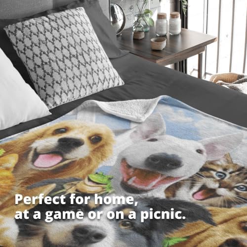 Dawhud Direct 50x60-Inch Backyard Pals Dogs and Cats Blanket - Soft Plush Animal Print Blanket for Adults and Kids - Soft and Cozy for Bed, Couch, or Travel - Thoughtful Gift for Animal Lovers