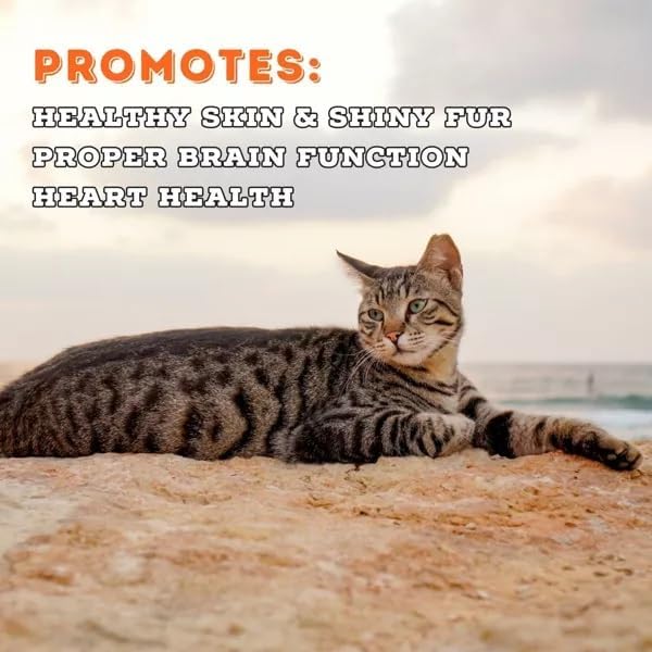 Wild Salmon Fish Recipe Adult Dry Cat Food | Made with MSC-Certified Sustainable Salmon | Rich Source of Omega-3s | 3.5 Lb Bag